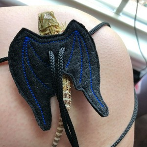 Lizard Harness and Wings