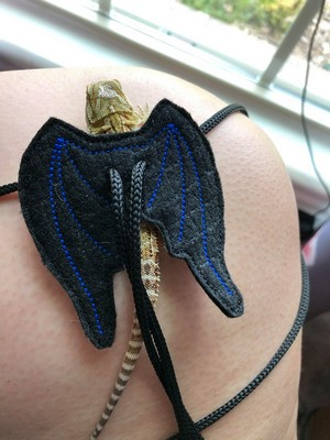Lizard Harness and Wings