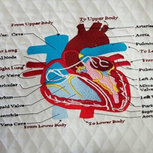Heart