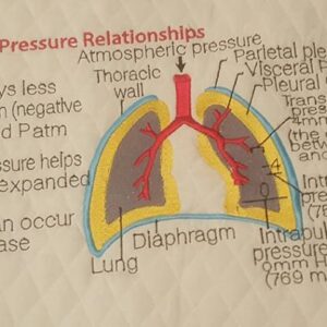 Pressure Relationship