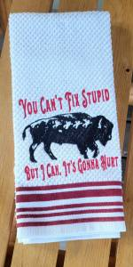 You Can't fix Stupid