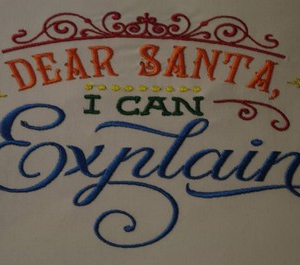 Dear Santa I can Explain