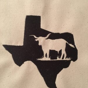 Texas with Longhorn