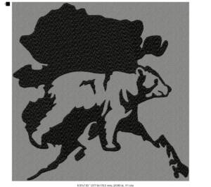 Alaska Bear