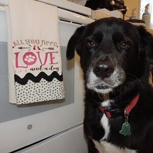 All you need is love Dog