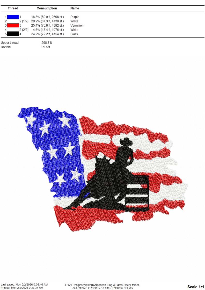 American Flag Barrelracer - Image 2